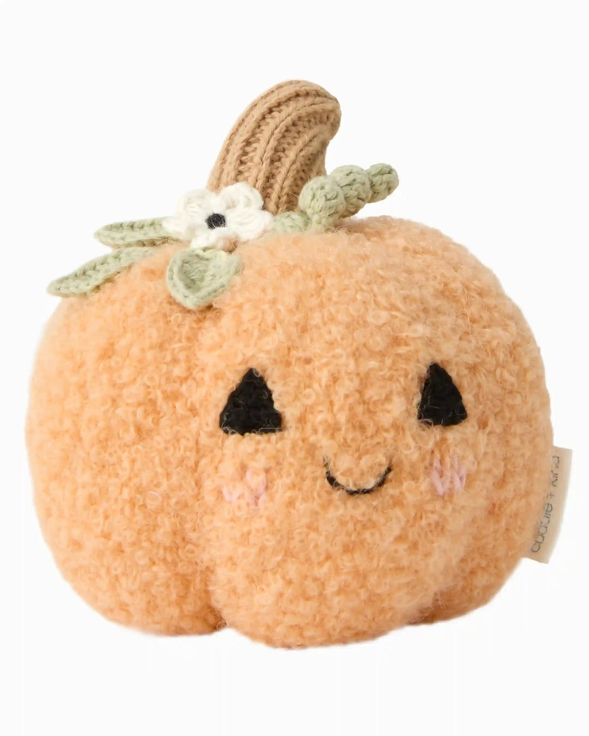 Baby pumpkin (moonflower)