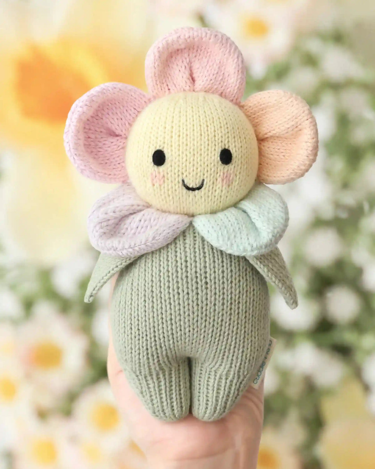 Baby daisy (sunshower)
