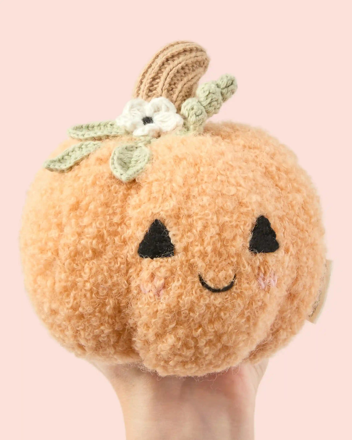 Baby pumpkin (moonflower)