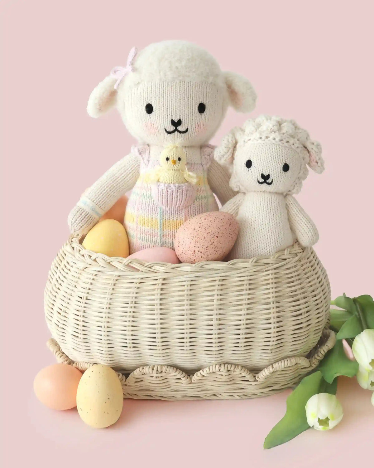Mabel the lamb