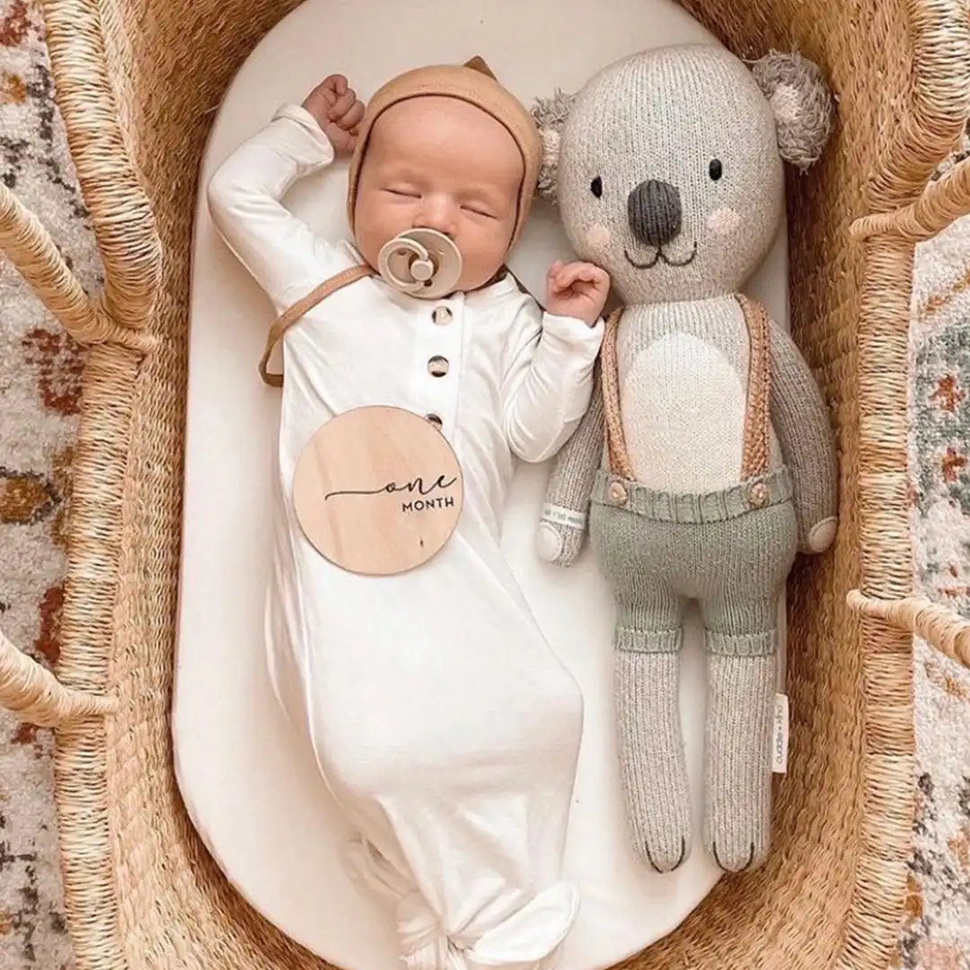 Quinn the koala